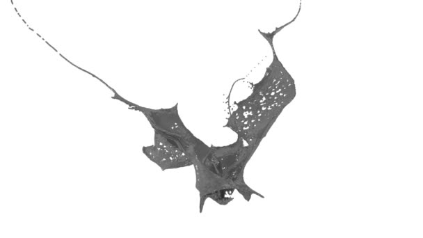 ha 蒙版 lumma 遮罩 alpha 通道用慢动作拍摄的