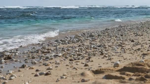打在沙滩与一些石头上。背景中的即兴重复段波